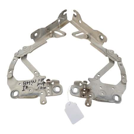 BISAGRAS CAPO  BMW SERIE 3 F30 2014
