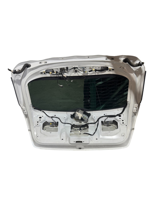 PORTON TRASERO CITROEN DS4